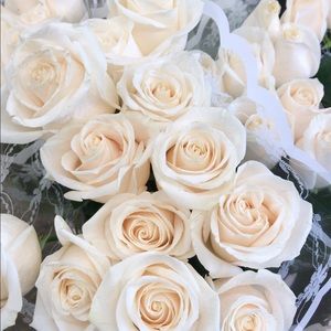 Meet your Posher, Eun